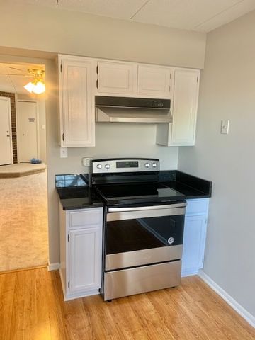 1508 W Jefferson Avenue D, Naperville, IL 60540