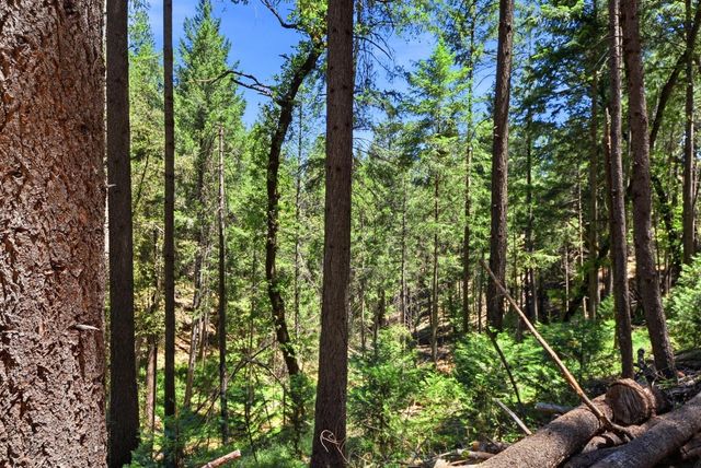 250 Secret Town Ln, Colfax, CA 95713