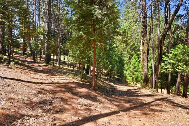 250 Secret Town Ln, Colfax, CA 95713