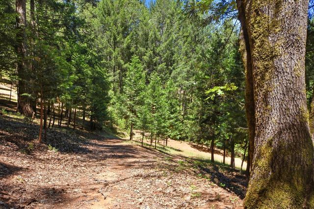250 Secret Town Ln, Colfax, CA 95713