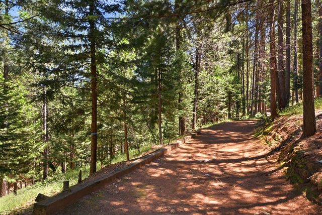 250 Secret Town Ln, Colfax, CA 95713