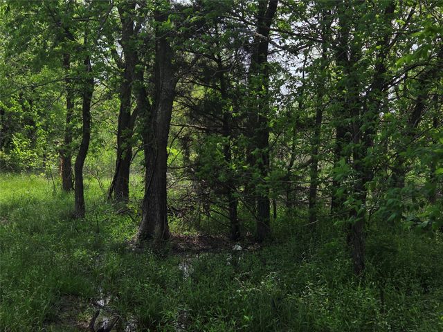 Lot 5 SE County Rd.3048A, Corsicana, TX 75109