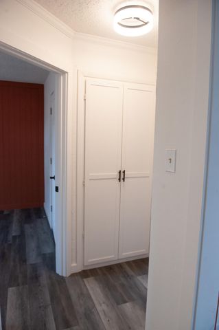 317 76th Street, Lubbock, TX 79404