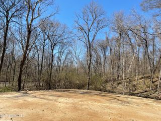 15944 Brownsferry Rd Road, Sarah, MS 38665