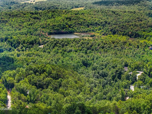 1005 Laurel Rd Road, Townsend, TN 37882