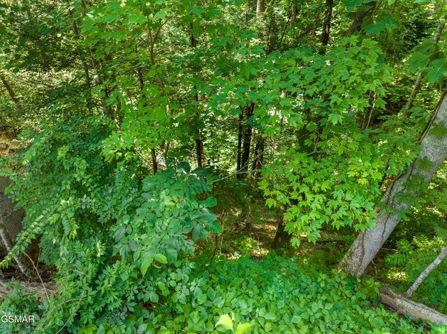 1005 Laurel Rd Road, Townsend, TN 37882