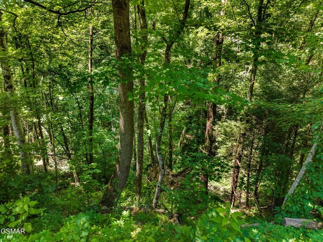 1005 Laurel Rd Road, Townsend, TN 37882