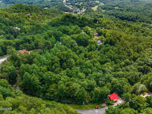 1005 Laurel Rd Road, Townsend, TN 37882