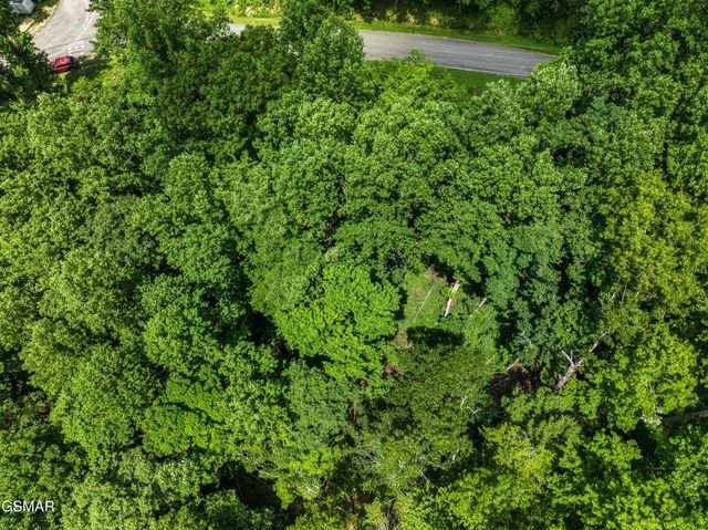 1005 Laurel Rd Road, Townsend, TN 37882