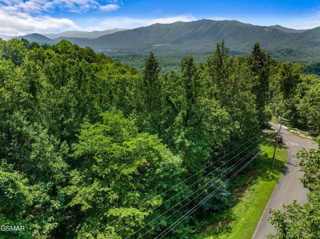 1005 Laurel Rd Road, Townsend, TN 37882