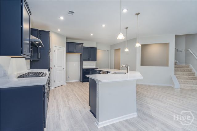 232 Dendron Drive, Richmond Hill, GA 31324