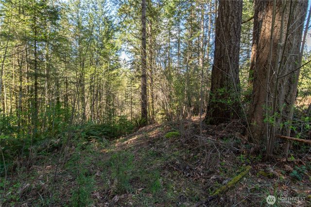 0 NE Mission Creek Road, Belfair, WA 98528