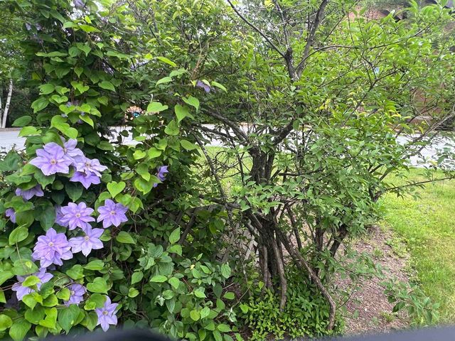 8B Deer Creek, Dover, VT 05356