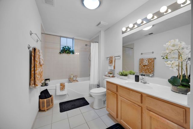 3817 S Ellis Avenue 101, Chicago, IL 60653