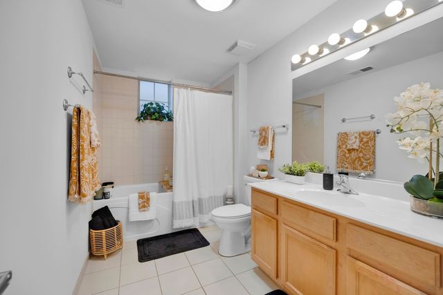 3817 S Ellis Avenue 101, Chicago, IL 60653