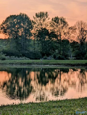 12325 US Hwy 411 N, Centre, AL 35960