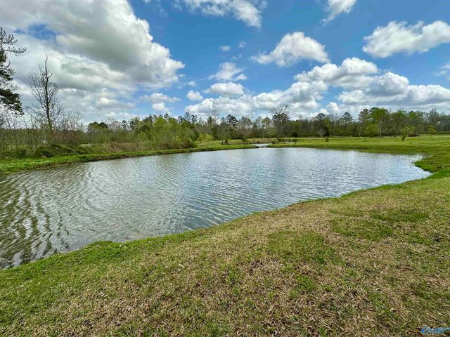 12325 US Hwy 411 N, Centre, AL 35960