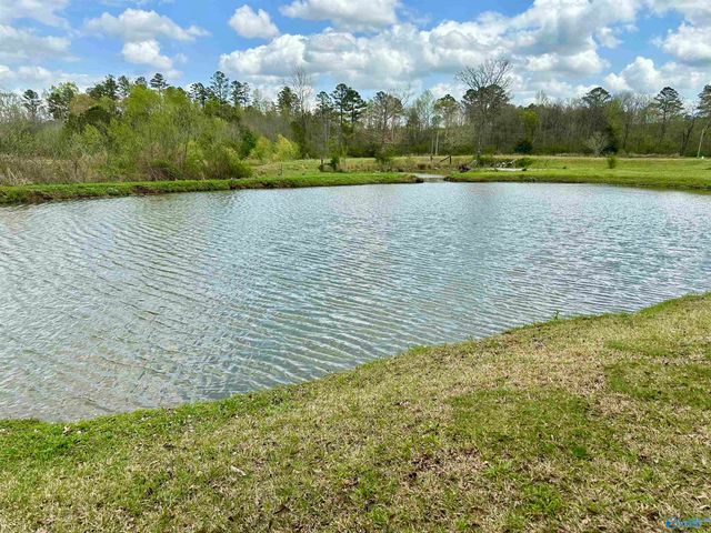 12325 US Hwy 411 N, Centre, AL 35960