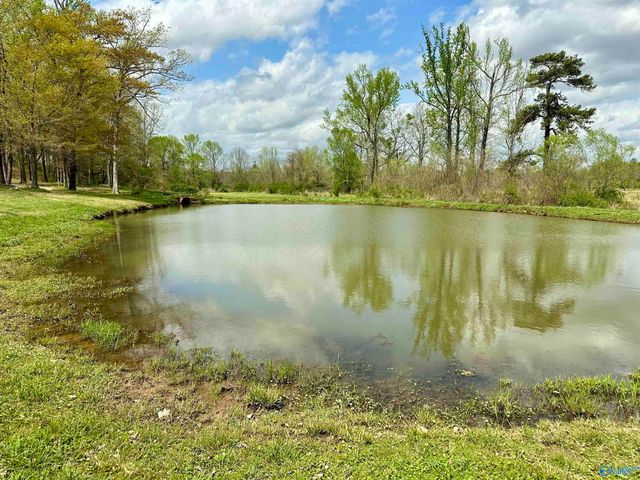 12325 US Hwy 411 N, Centre, AL 35960