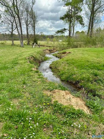 12325 US Hwy 411 N, Centre, AL 35960