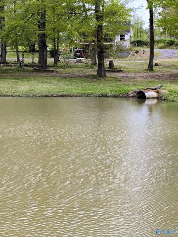 12325 US Hwy 411 N, Centre, AL 35960