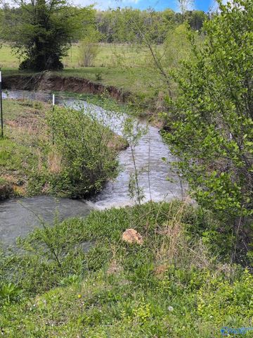 12325 US Hwy 411 N, Centre, AL 35960