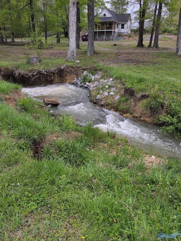 12325 US Hwy 411 N, Centre, AL 35960