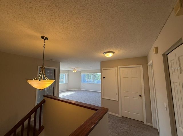 12919 BRANT TREE DRIVE, Riverview, FL 33579