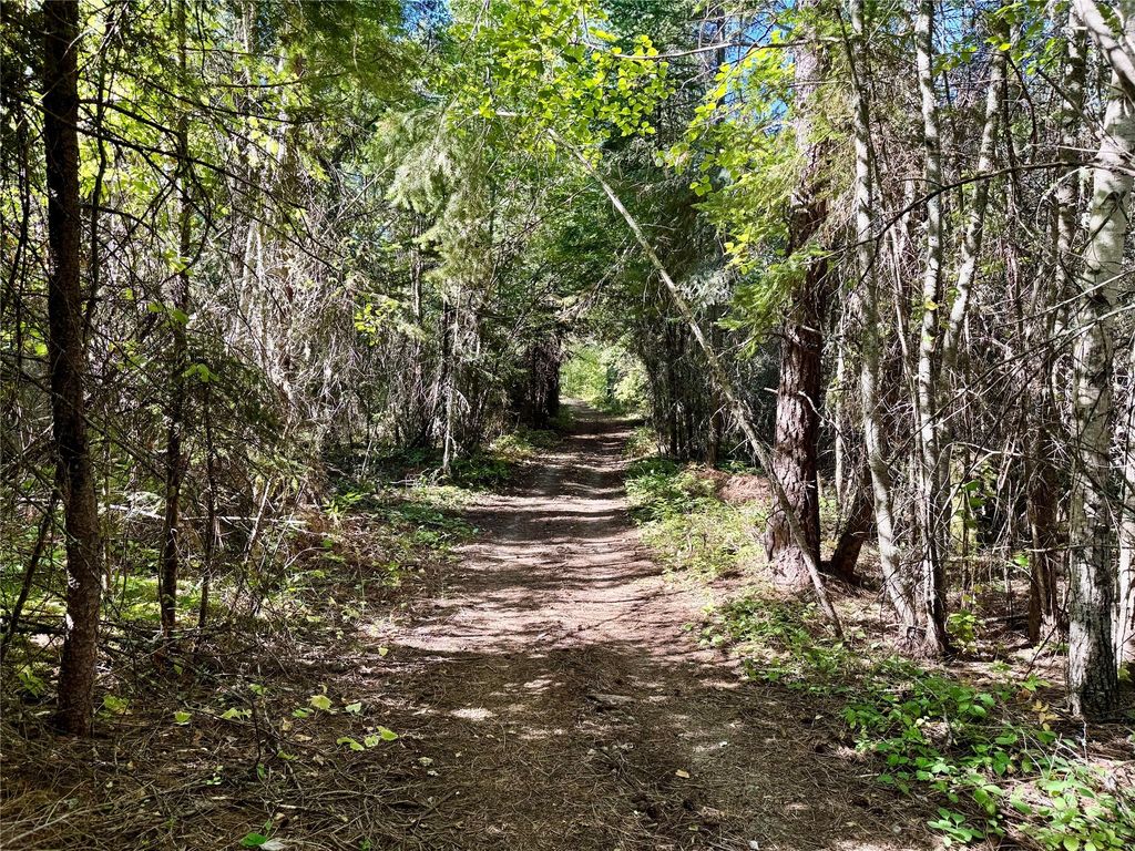 20322 MT Highway 35, Bigfork, MT 59911 photo 89