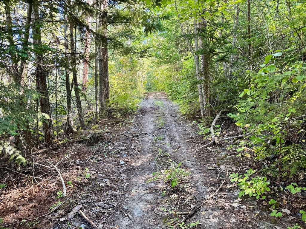 20322 MT Highway 35, Bigfork, MT 59911 photo 90