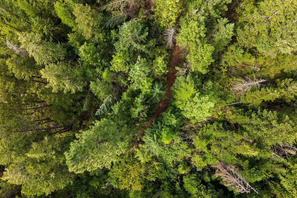 20322 MT Highway 35, Bigfork, MT 59911 photo 91