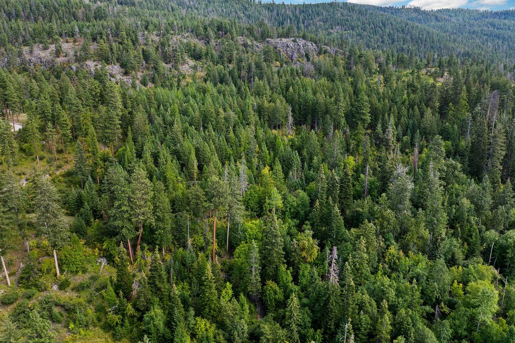 20322 MT Highway 35, Bigfork, MT 59911 photo 92