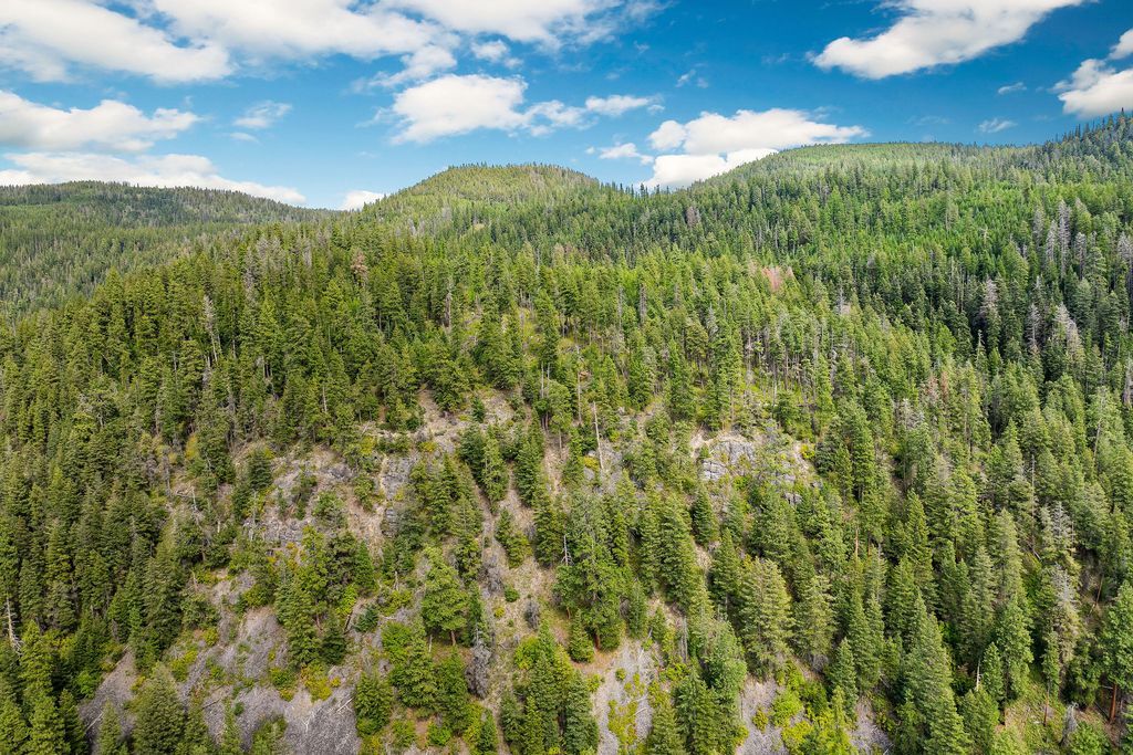 20322 MT Highway 35, Bigfork, MT 59911 photo 95