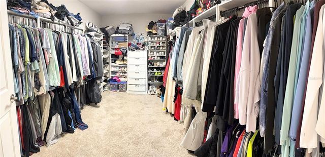 14820 PADDOCK POND AVENUE, Lithia, FL 33547