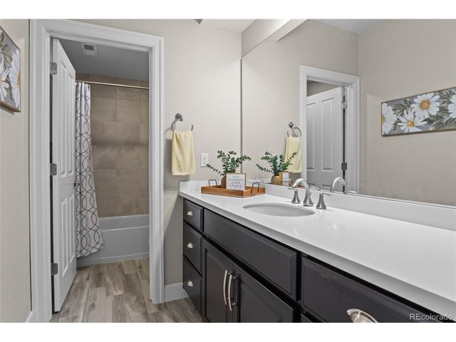 278 Sheldon Ave, Castle Rock, CO 80104