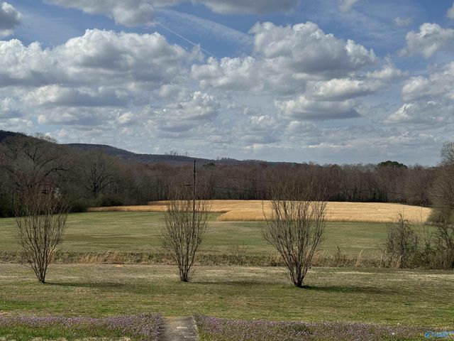 1156 Crawford Bottom Road, Somerville, AL 35670