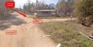 0 Sycamore Lane, Plantersville, TX 77363