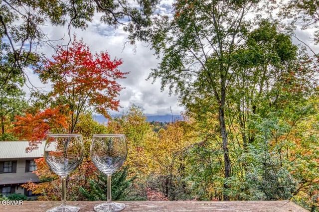 924 Stans Court, Gatlinburg, TN 37738