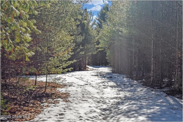 L16 Mountain Meadows Road, Horicon, NY 12860