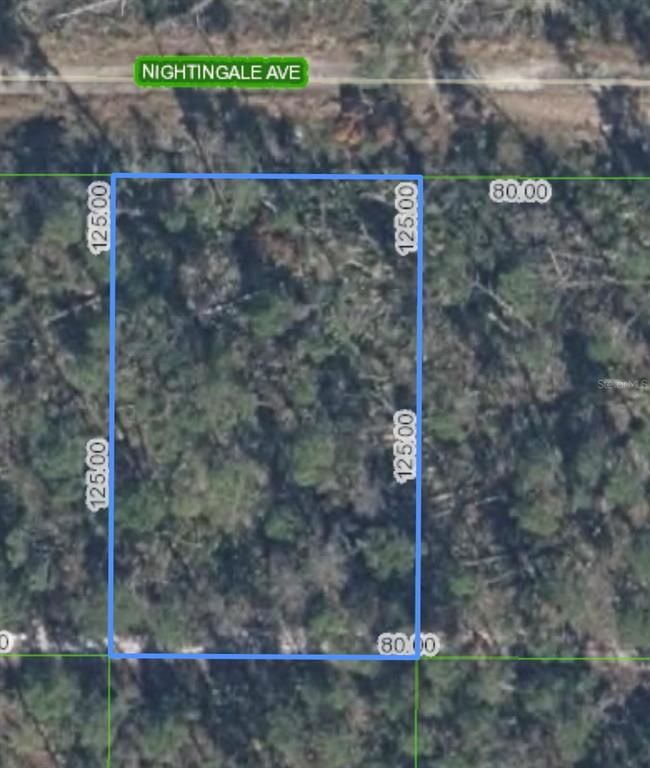 455 NIGHTINGALE AVENUE, Sebring, FL 33870