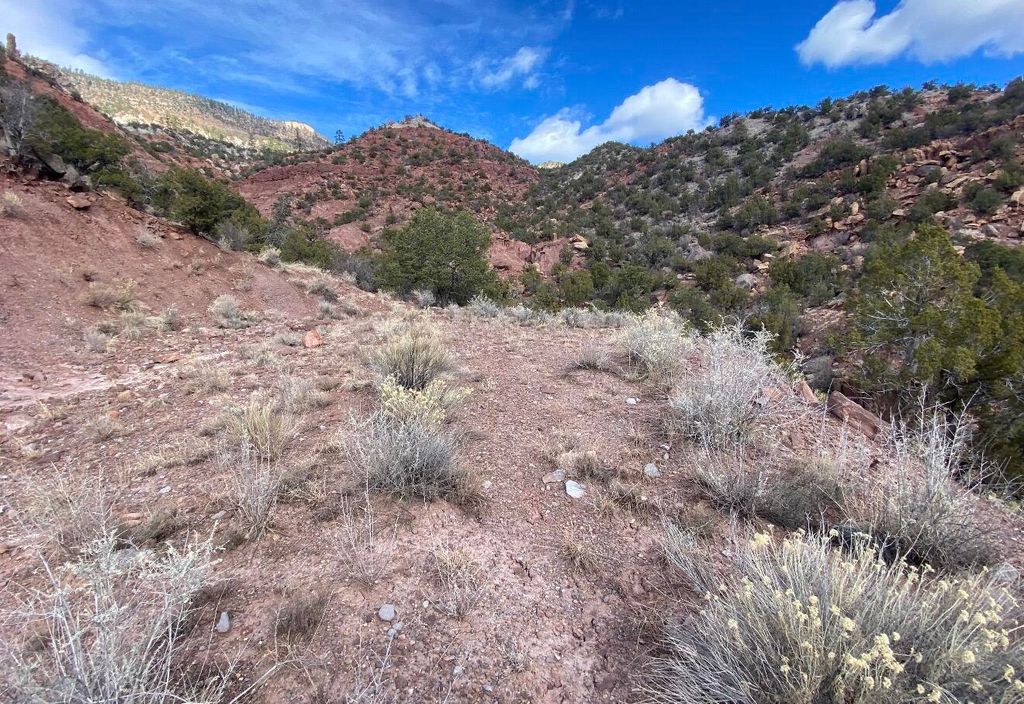 Image 2 of property listing at LANDS OF GREEN MAGGIE LOT 2, Jemez Springs, NM 87025