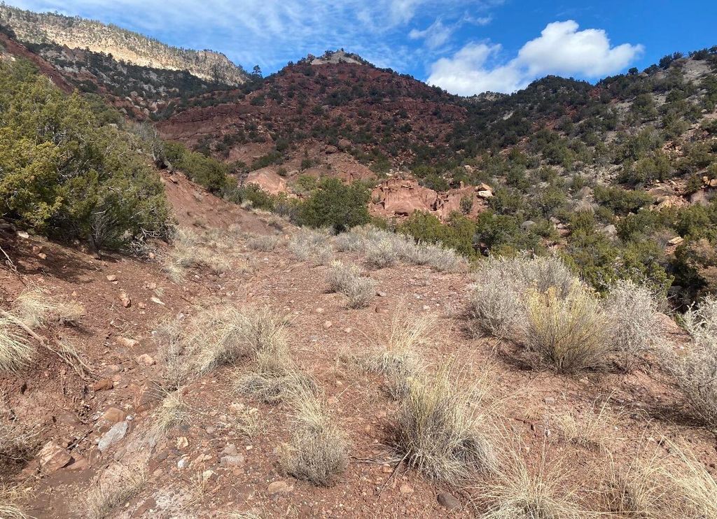 Image 3 of property listing at LANDS OF GREEN MAGGIE LOT 2, Jemez Springs, NM 87025
