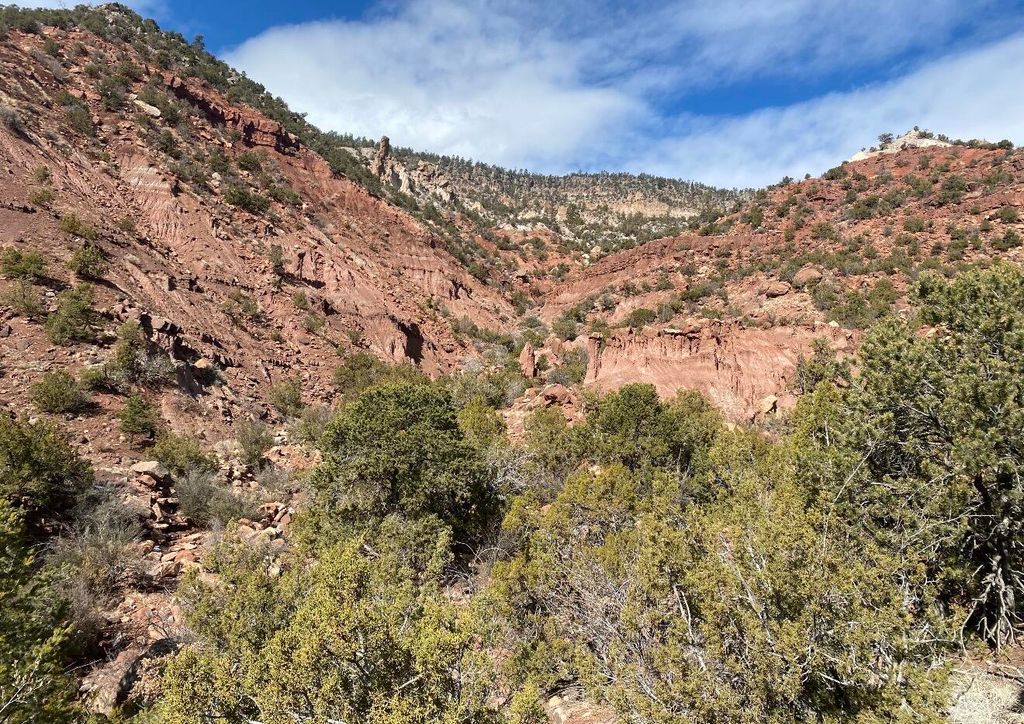 Image 4 of property listing at LANDS OF GREEN MAGGIE LOT 2, Jemez Springs, NM 87025