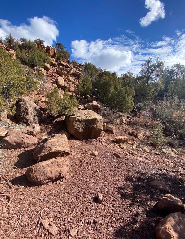 Image 5 of property listing at LANDS OF GREEN MAGGIE LOT 2, Jemez Springs, NM 87025
