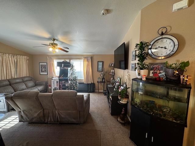 2900 Fairview Road 4, Hollister, CA 95023