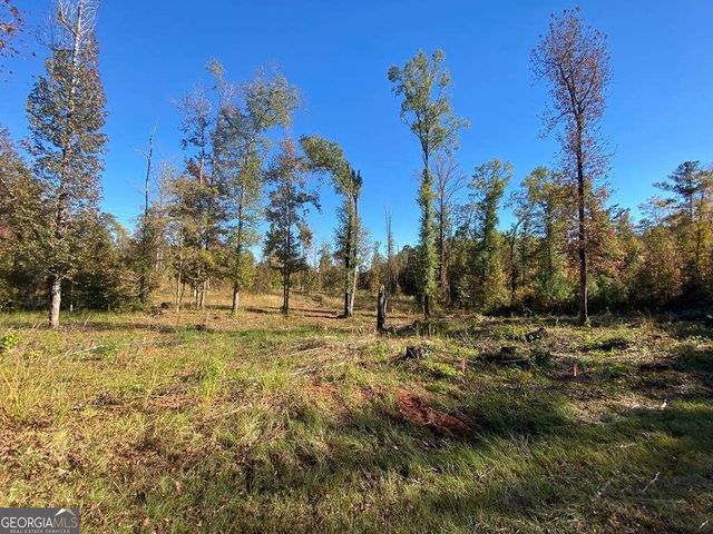 LOT 3 A Humber Ferry Road SW, Eatonton, GA 31024