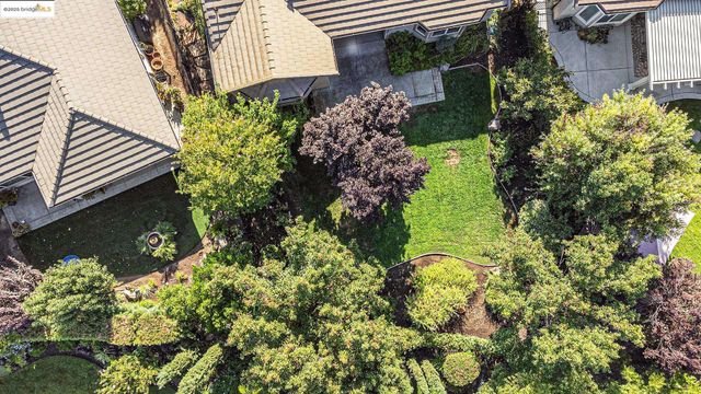 1182 Bacchini Ln, Brentwood, CA 94513