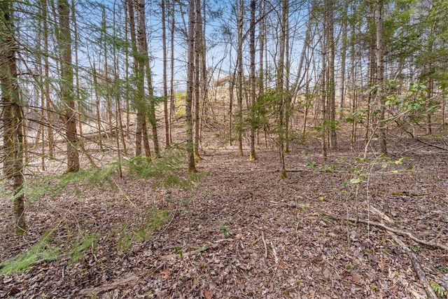 155 Ivy Knob Terrace, Hayesville, NC 28904