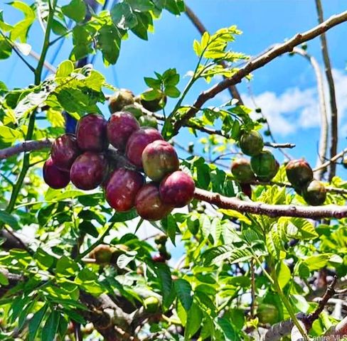 84-737 Manuku Street, Waianae, HI 96792