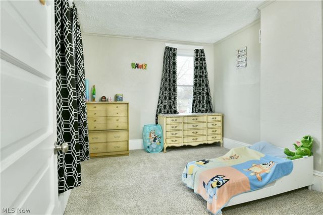 163 N Chestnut Avenue, Niles, OH 44446